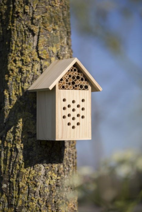 Bienenhaus aus Holz Fahim