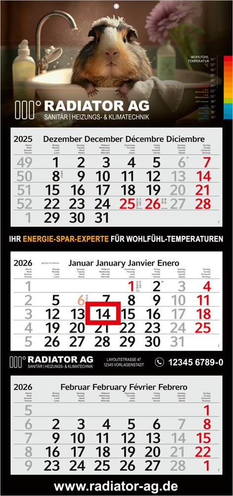 3-Monatskalender Profil 3 Bestseller (Mehrblock)