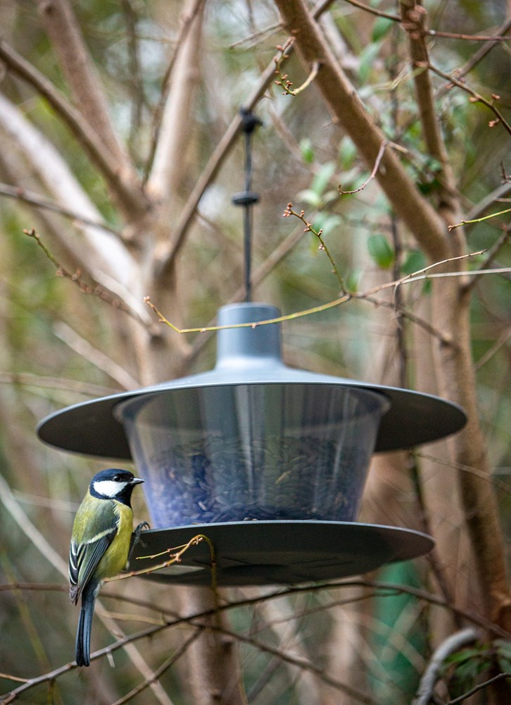 BIRDIE Vogel Futterhaus Made in Europe