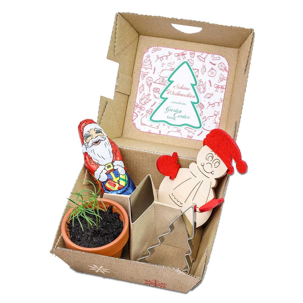 Geschenk-Set Xmas - V4 Tontöpfchen, Schoko-Nikolaus, Backförmchen Tannenbaum und  Steckfigur Schneemann aus Holz-Filz